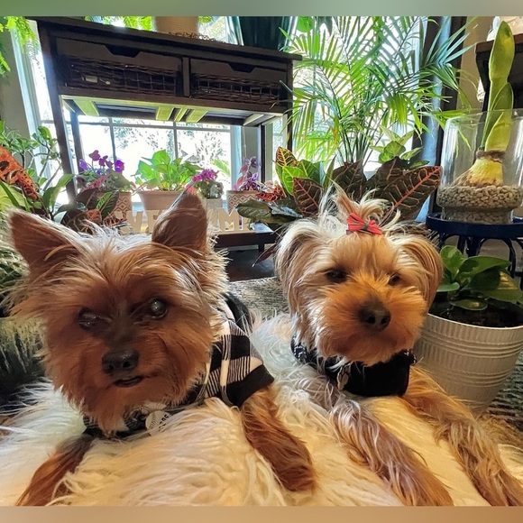 Meet your Posher, Mary - Picture 2 of 4